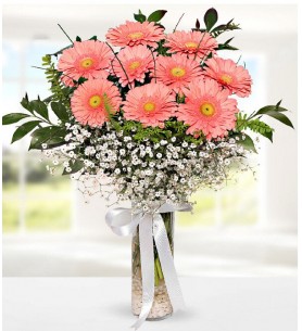 vazoda pembe gerbera